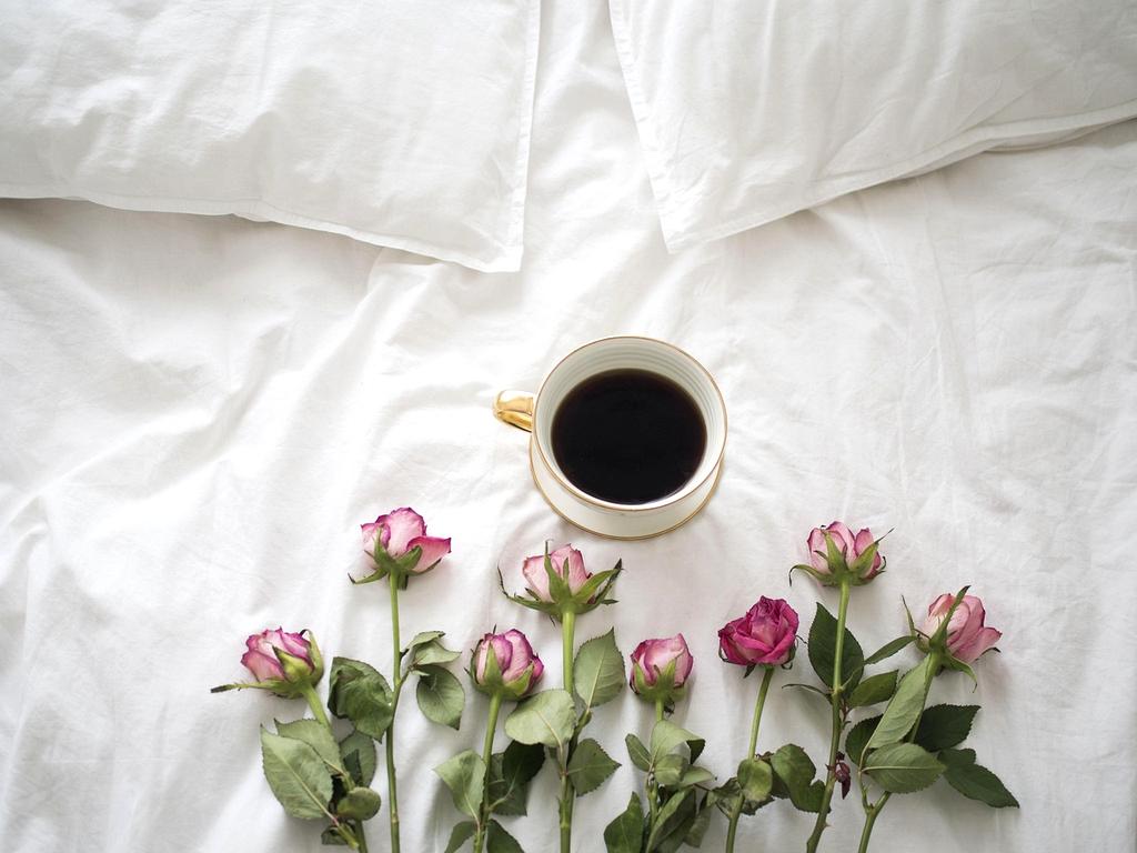 Collaboration platform icon